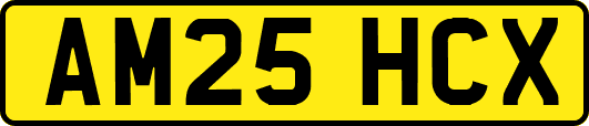 AM25HCX