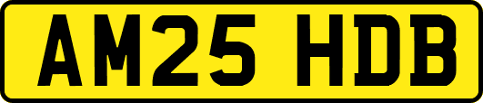 AM25HDB