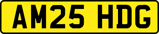 AM25HDG