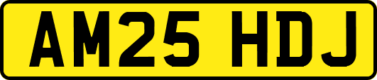 AM25HDJ