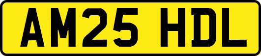 AM25HDL