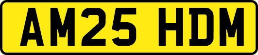 AM25HDM