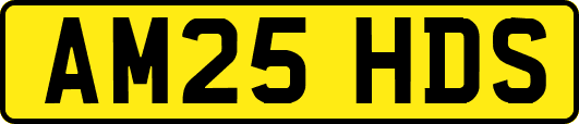 AM25HDS