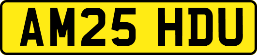 AM25HDU