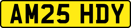 AM25HDY