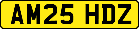 AM25HDZ