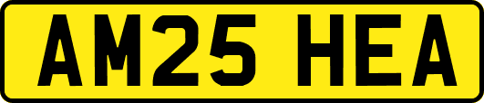 AM25HEA
