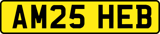 AM25HEB