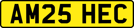 AM25HEC