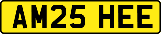 AM25HEE