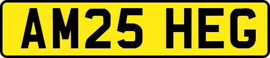 AM25HEG