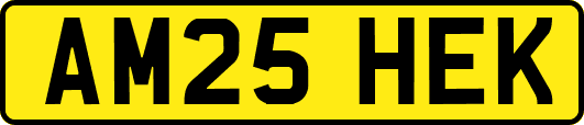 AM25HEK