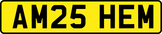 AM25HEM