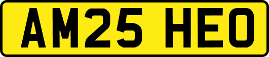 AM25HEO