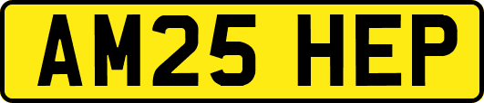AM25HEP