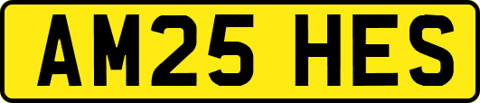 AM25HES