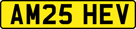 AM25HEV