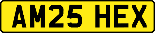 AM25HEX