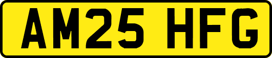 AM25HFG