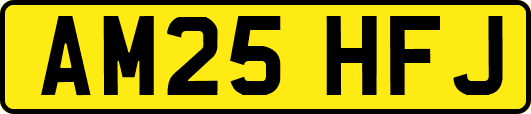 AM25HFJ