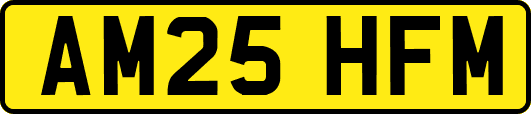 AM25HFM