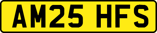AM25HFS
