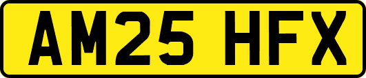 AM25HFX
