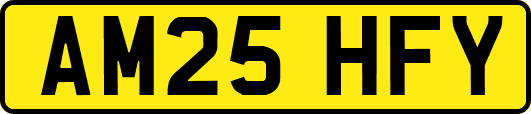 AM25HFY