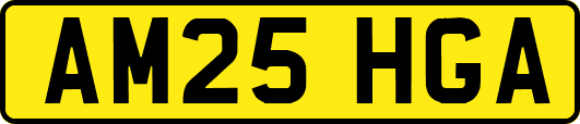 AM25HGA