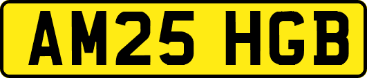 AM25HGB