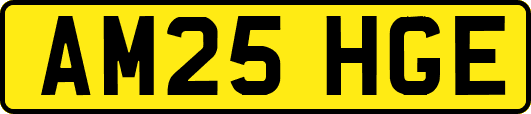 AM25HGE