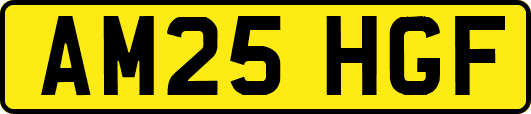AM25HGF