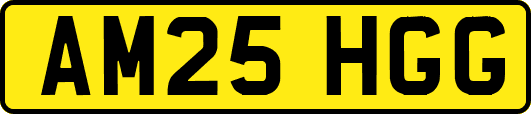 AM25HGG