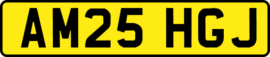 AM25HGJ