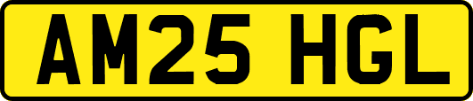 AM25HGL