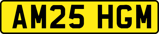 AM25HGM