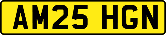 AM25HGN