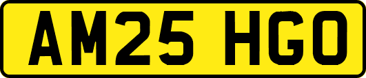 AM25HGO