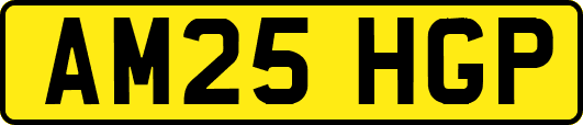 AM25HGP