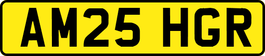 AM25HGR