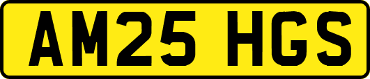 AM25HGS