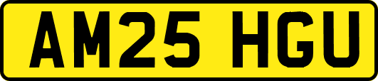 AM25HGU