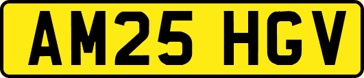 AM25HGV