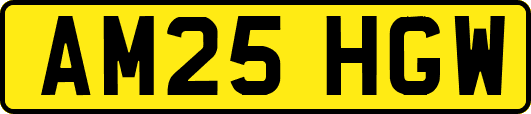 AM25HGW