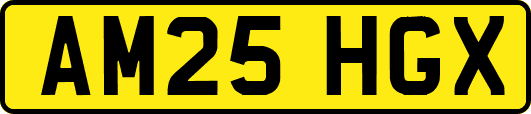 AM25HGX