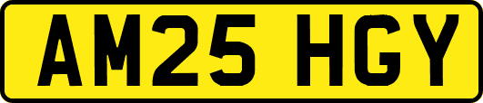 AM25HGY