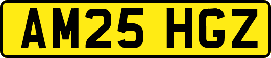 AM25HGZ