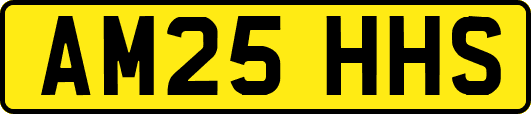 AM25HHS