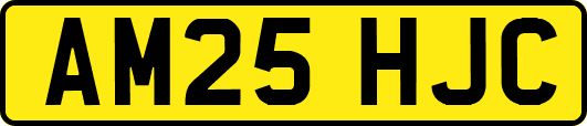 AM25HJC