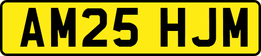 AM25HJM
